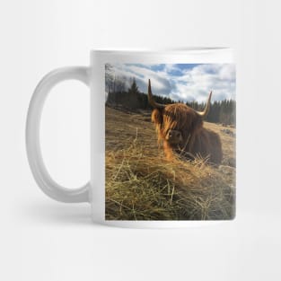 Scottish Highland Cattle Cow 2354 Mug